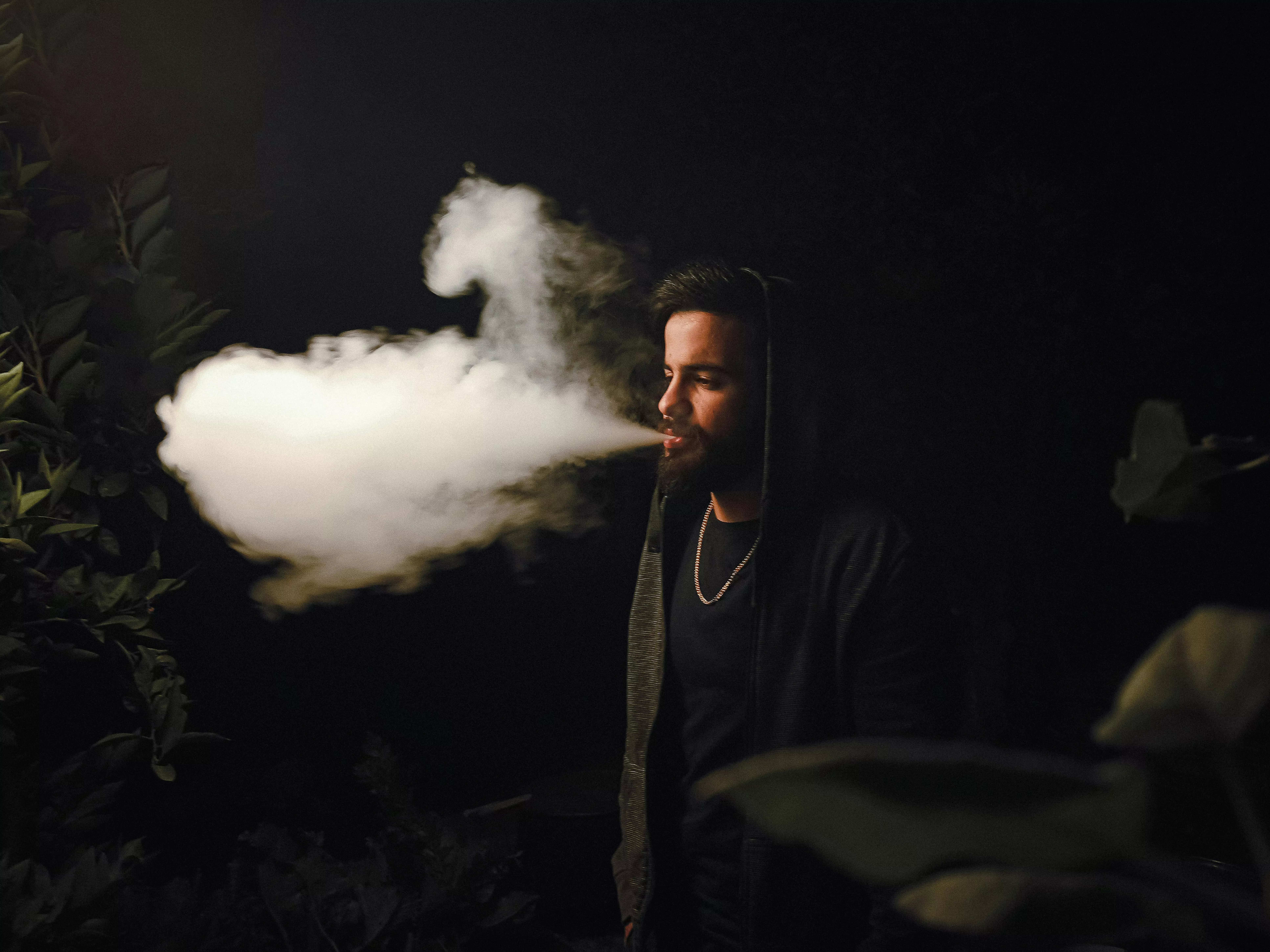 Chicha sans tabac : explorez des saveurs innovantes